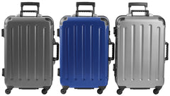 Vin Garde Valise Grande (Standard Size) | Wine Travel Suitcase | All-purpose Luggage | Up to 12 Bottles ( Silver , Version 04 ) Silver Version 04 U1