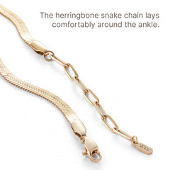 JENNY BIRD Zeina Anklet (High Polish Gold) U1