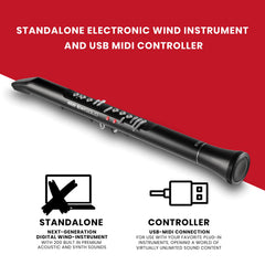 AKAI Professional EWI Solo - Electronic Wind Instrument With Built-in Speaker, Rechargeable Battery, 200 Sounds and USB MIDI Connectivity,Black Black undefined U1