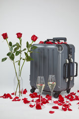 VinGardeValise Petite Carry-On Wine Case U1