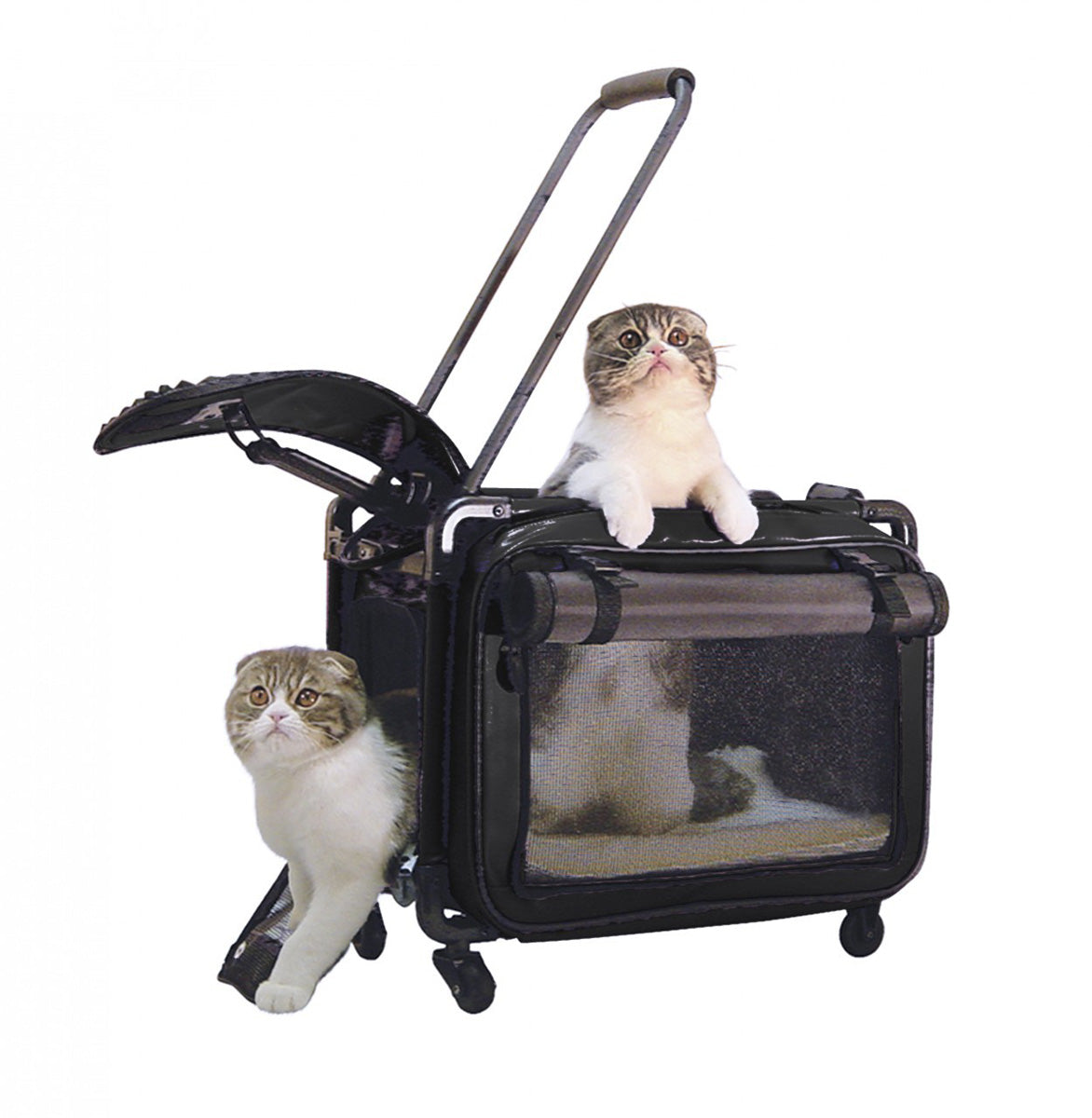 Tutto Lightweight Foldable Wheeled Pet Carriers ( Black , Medium ) Black Medium U5