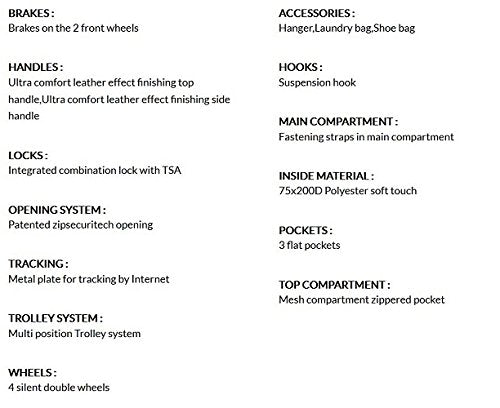DELSEY Paris Chatelet Air 2.0 Hardside Luggage with Spinner Wheels ( Champagne White , Checked-Medium 24 Inch, with Brake ) Champagne White Checked Medium 24 Inch With Brake U12