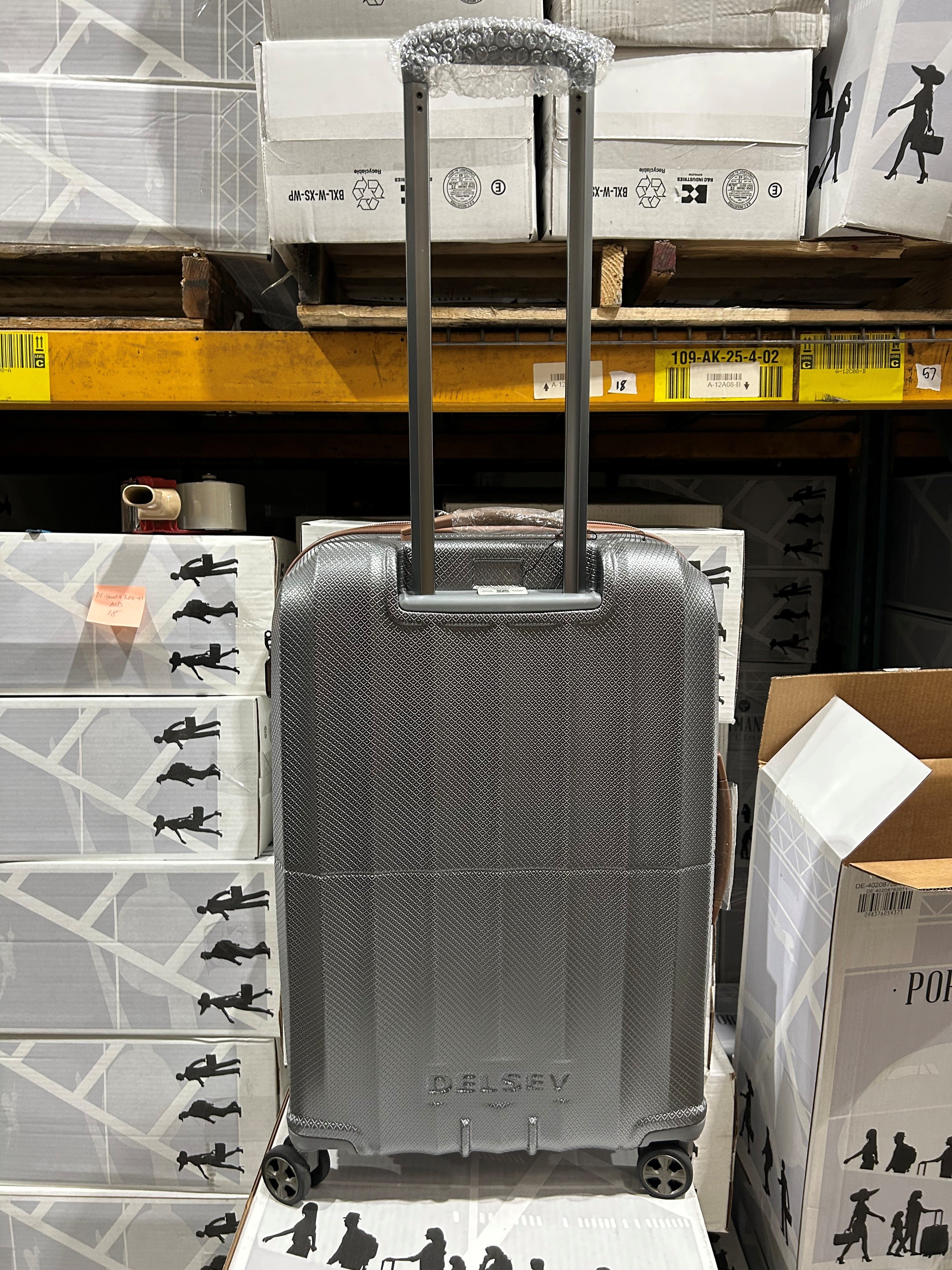 DELSEY Paris Carrousel Hardside Expandable Luggage with Spinner Wheels U1