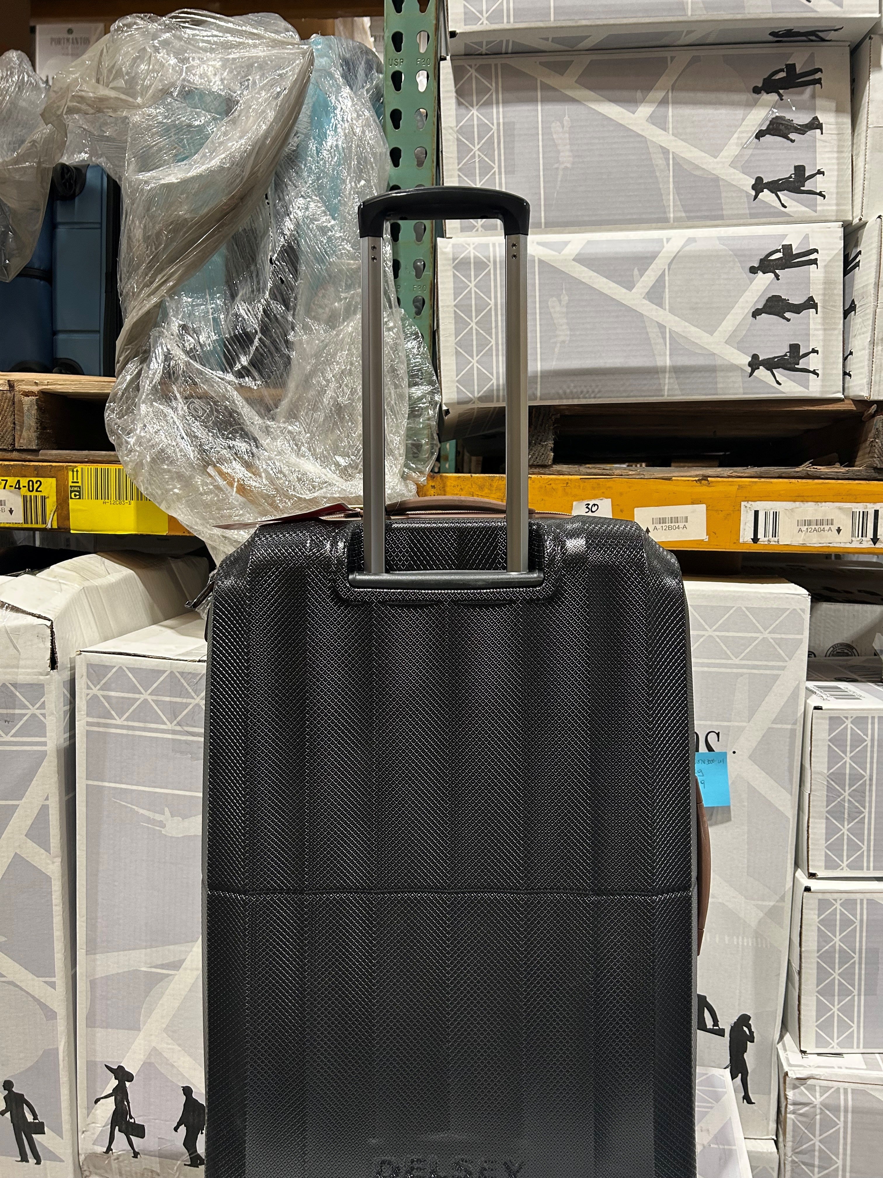 DELSEY Paris Carrousel Hardside Expandable Luggage with Spinner Wheels U1