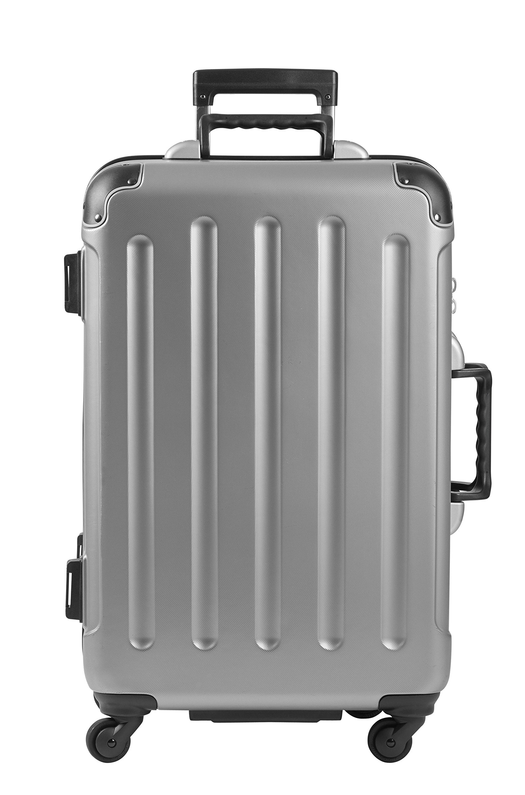 Vin Garde Valise Grande (Standard Size) | Wine Travel Suitcase | All-purpose Luggage | Up to 12 Bottles ( Silver , Version 04 ) Silver Version 04 U1