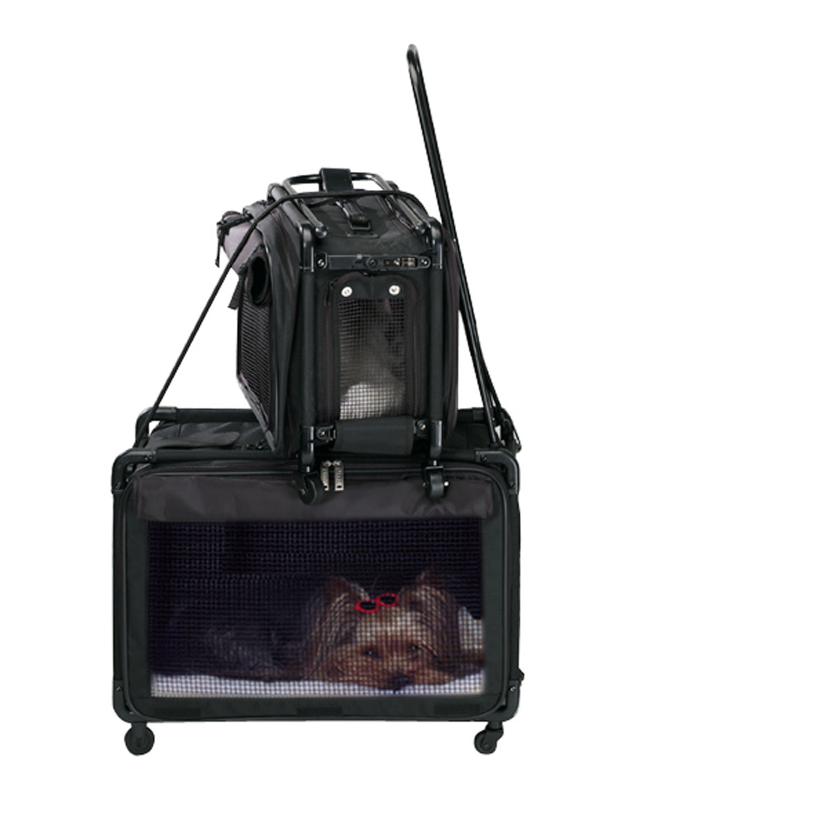 Tutto Lightweight Foldable Wheeled Pet Carriers ( Black , Medium ) Black Medium U5