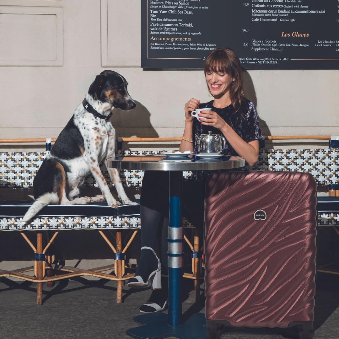 Delsey Alexis Lightweight Luggage, 4-Wheel Spinners Hardshell Suitcase, Expandable with TSA Lock  ( Burgundy , 3-piece Set (21"/25"/29") ) Burgundy 3 Piece Set 21 25 29 U5